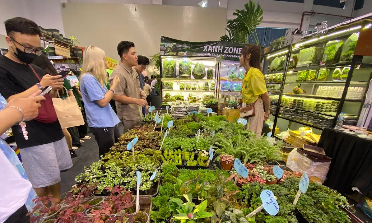 Sổi nổi thị trường kiểng lá