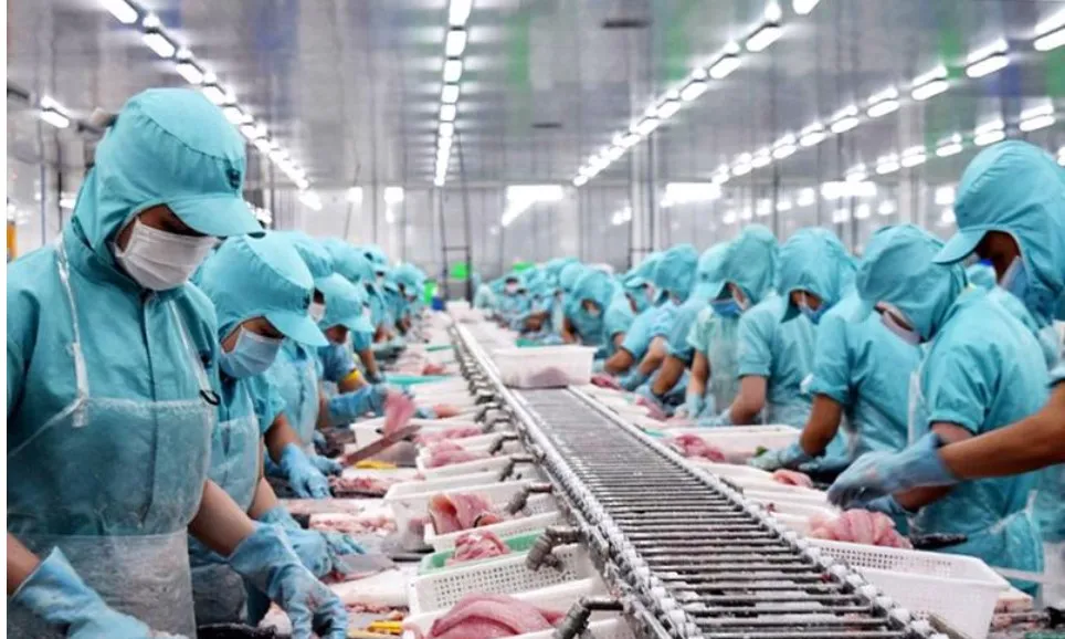 Kết nối doanh nghiệp xuất khẩu và ngân hàng