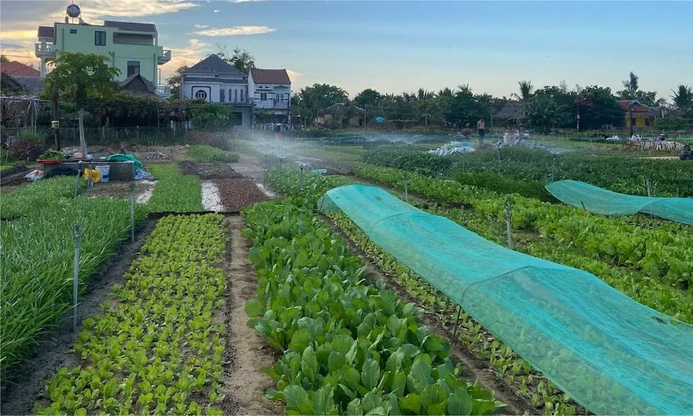 Du lịch canh nông