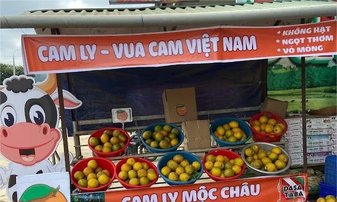 Thúc đẩy tiêu thụ sản phẩm cây ăn quả các tỉnh phía Bắc