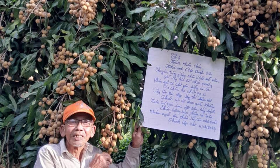 IMO, Giải pháp đột phá tạo vi sinh vật ứng dụng đa lĩnh vực 