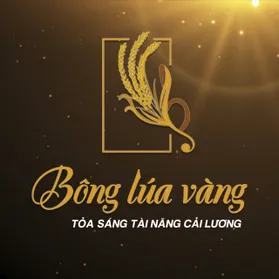 Kim luận - Từ bông lúa vàng đến sàn diễn chuyên nghiệp