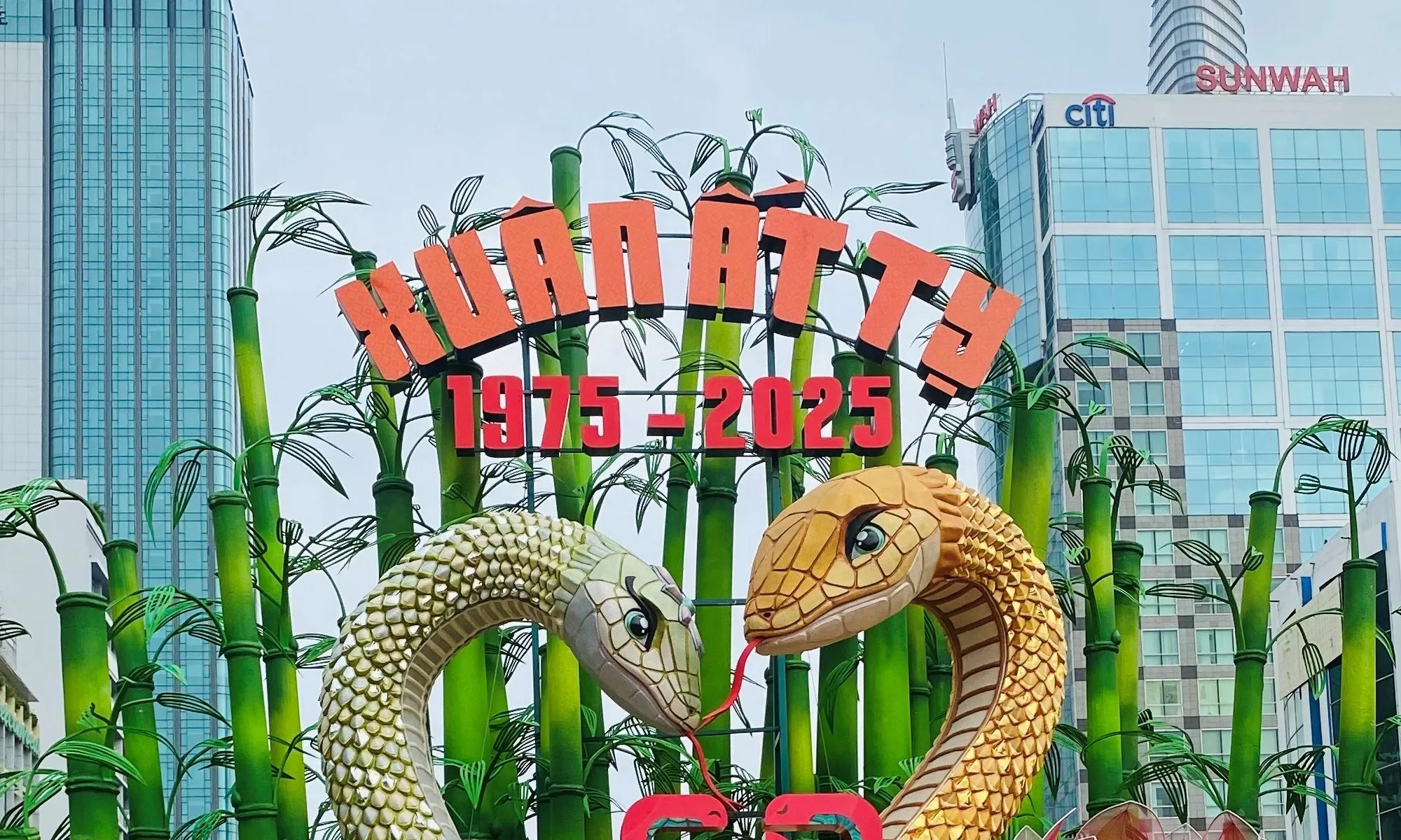 Du xuân, ngắm hoa, thưởng trà, nghe đàn và café xem ca nhạc