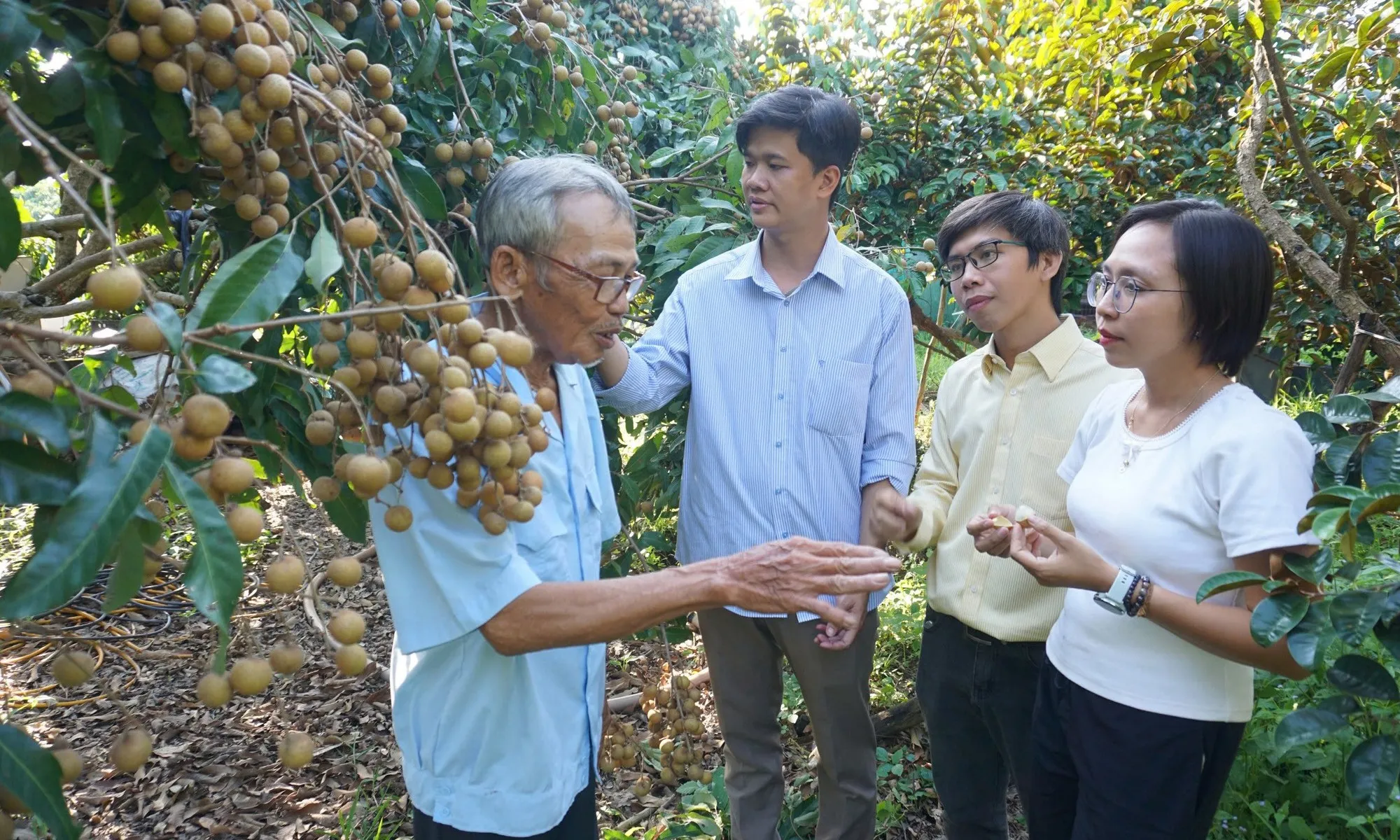 Kỳ cuối: Xây dựng thương hiệu cho nông sản IMO, động lực để nhà nông canh tác sạch