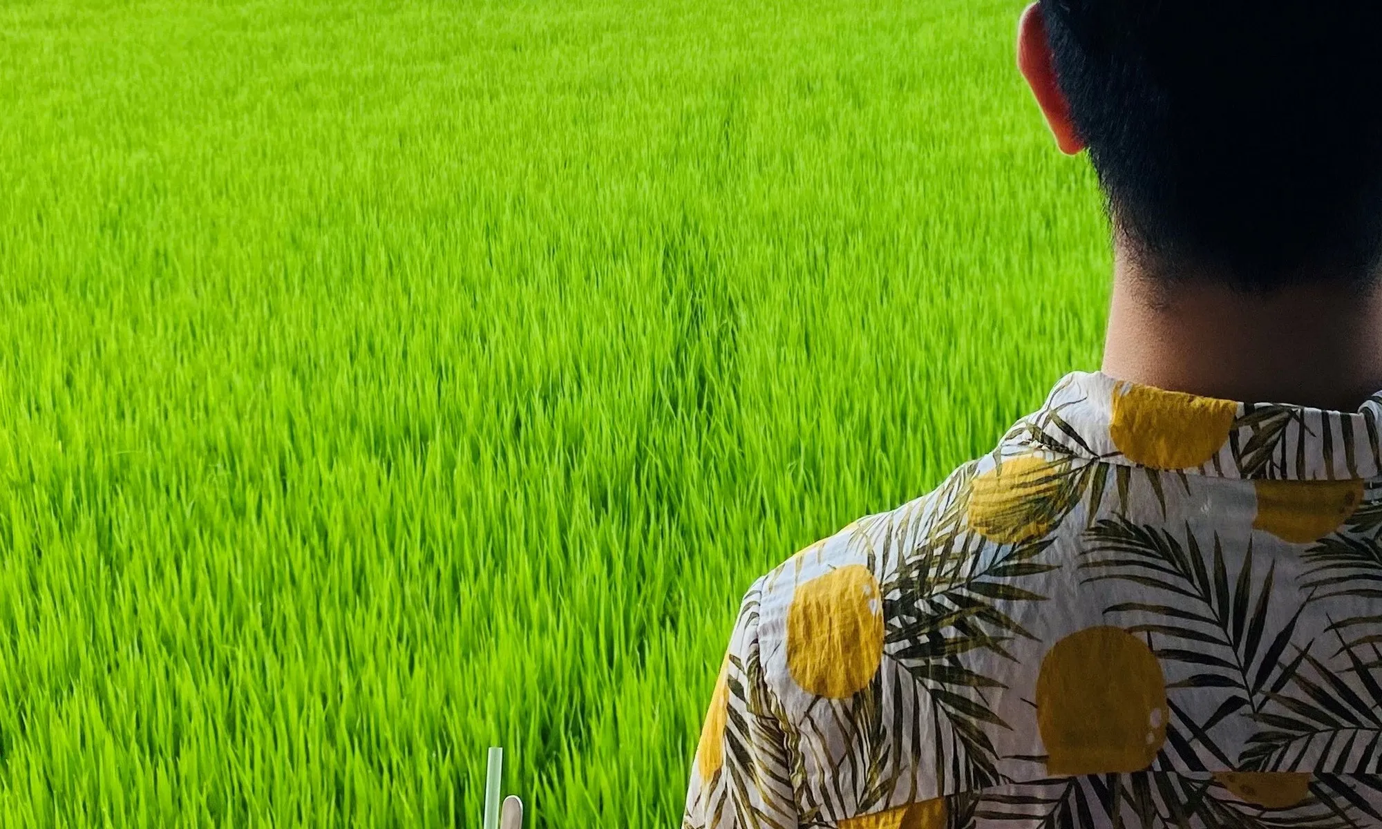 Cuối tuần mình sẽ đi đâu?