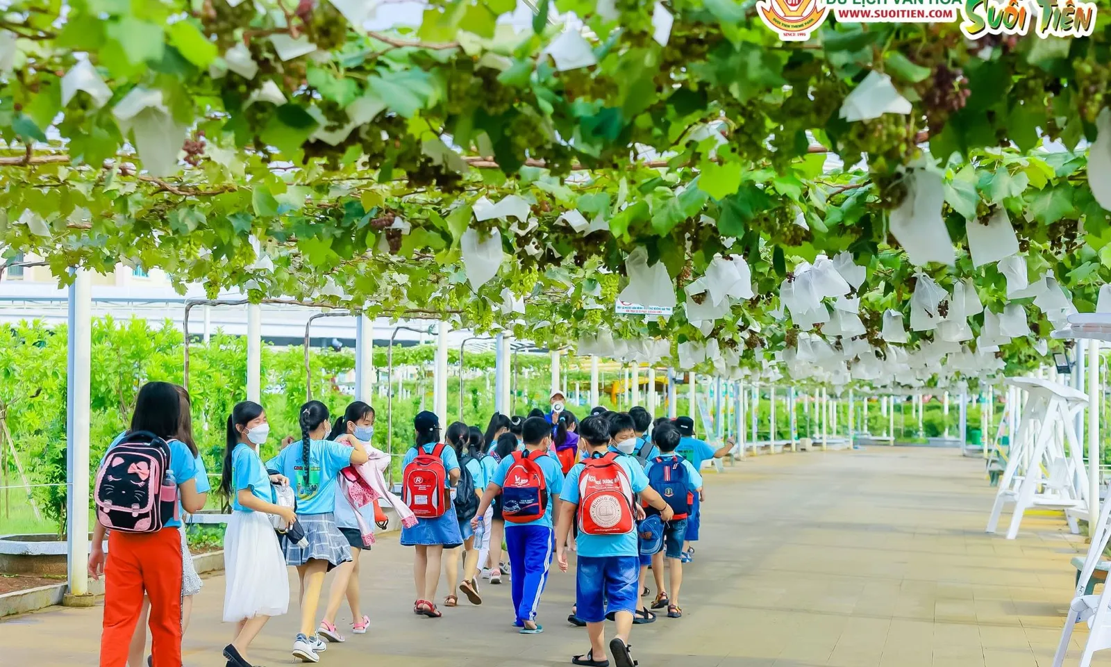 “Tuyến Metro Nông Sản - Lần đầu tiên có tour du lịch theo dấu trái cây ở TPHCM