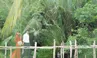 VỢ LÍNH THỜI BÌNH 