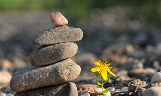 TỪ CÔ CÔNG NHÂN ĐẾN NGƯỜI TRAO YÊU THƯƠNG