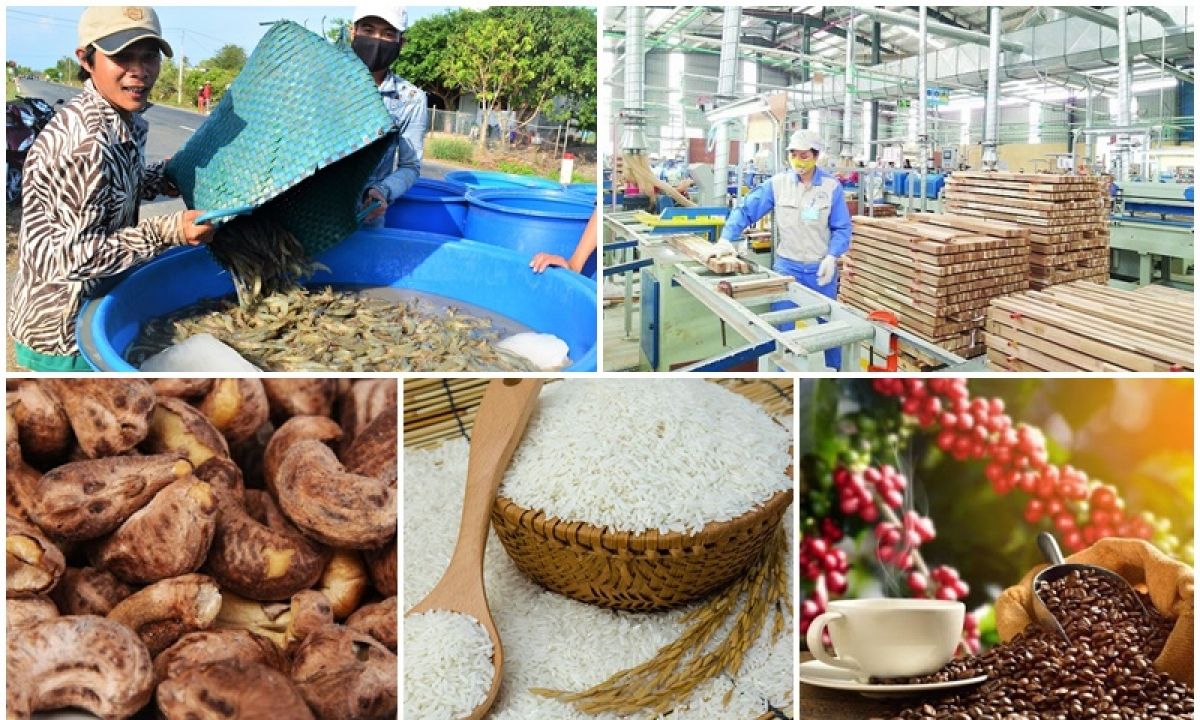 Overseas Vietnamese help Vietnamese products go global