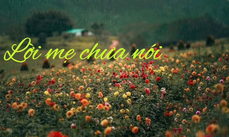 LỜI MẸ CHƯA NÓI