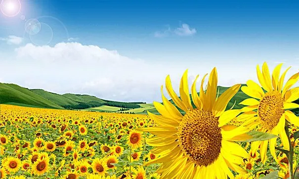 NHỮNG TẤM GƯƠNG SÁNG GIỮA ĐỜI THƯỜNG
