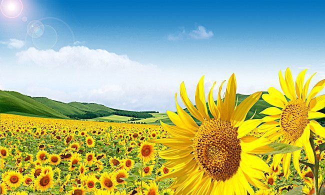 NHỮNG TẤM GƯƠNG SÁNG GIỮA ĐỜI THƯỜNG