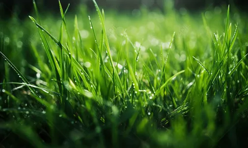 CHUYỆN CỦA LÃO NIÊN CHỤP ẢNH DẠO