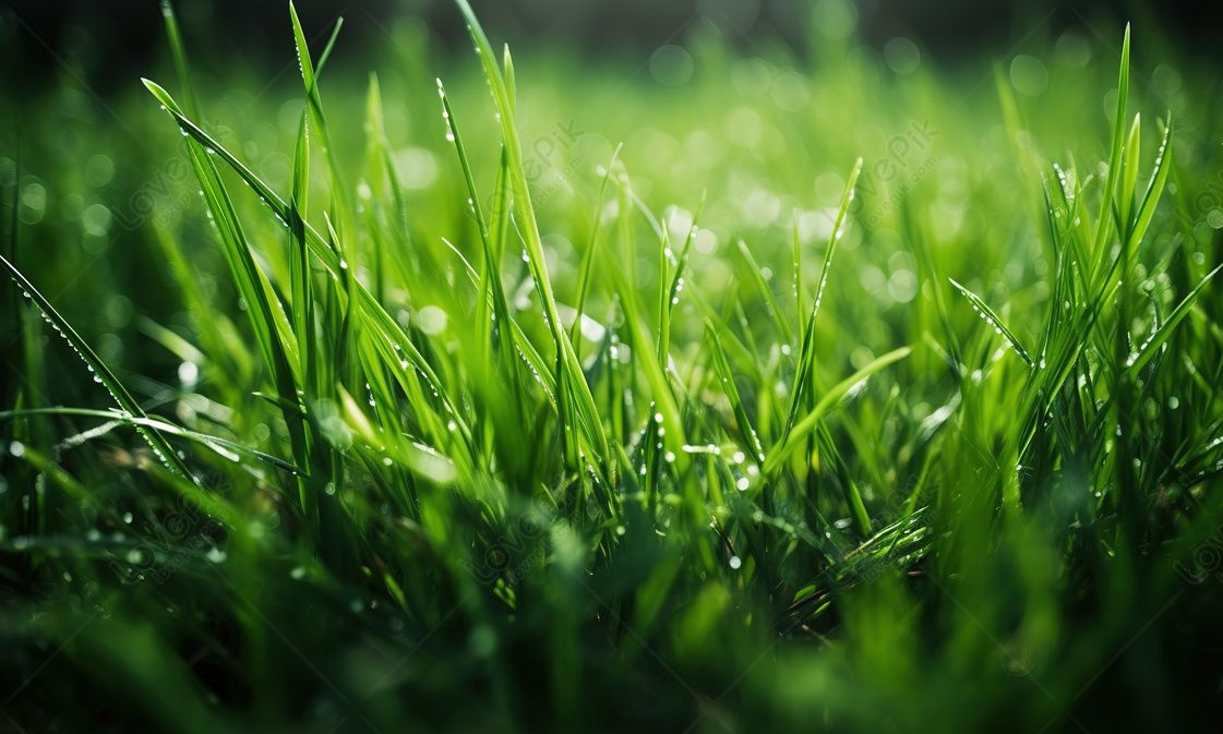 CHUYỆN CỦA LÃO NIÊN CHỤP ẢNH DẠO