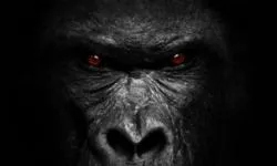 Album cá tính của Extreme