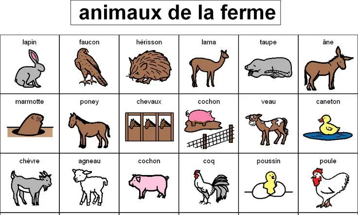 Ôn tập từ vựng về những con vật