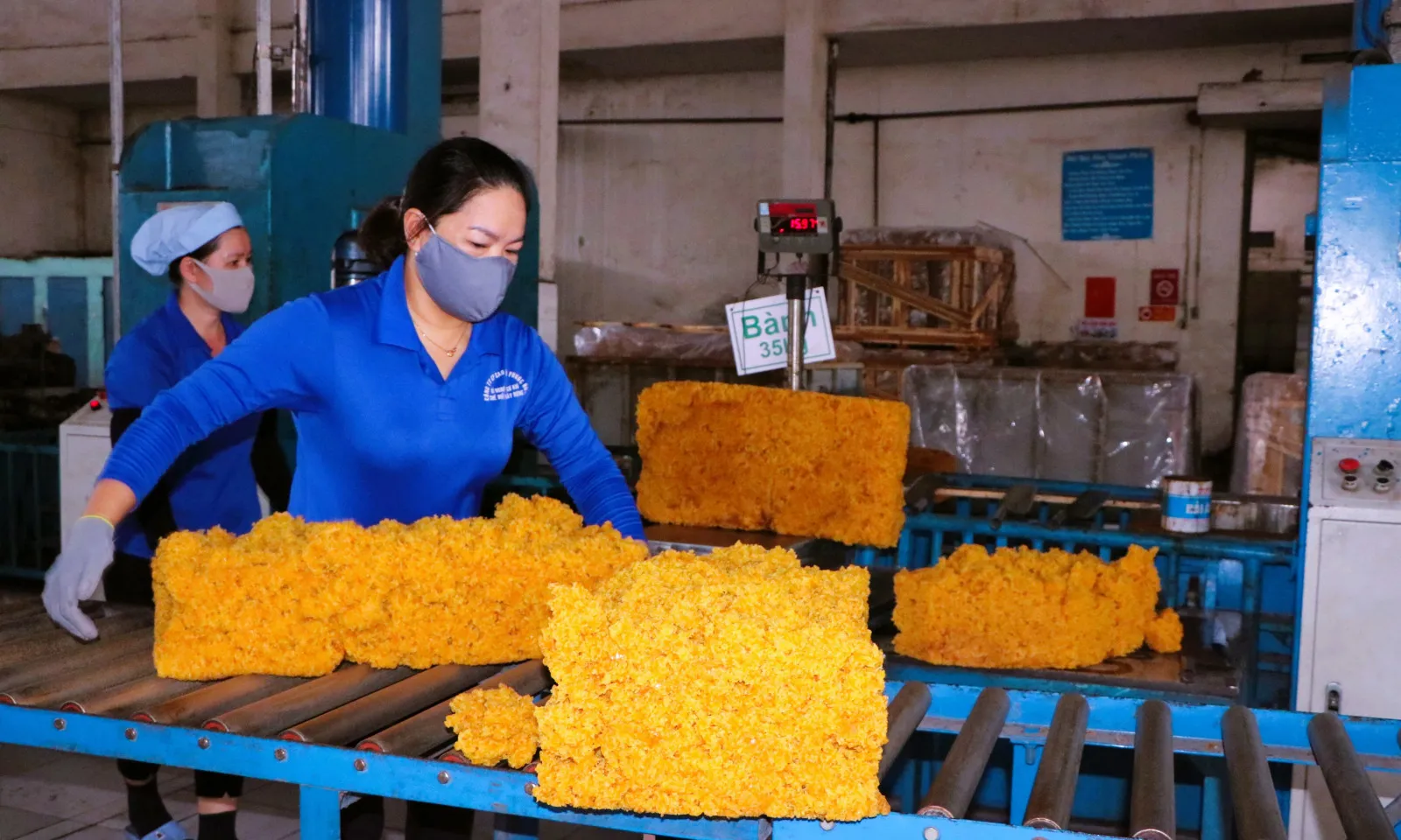 Cao su Phước Hòa hướng đến mục tiêu “xanh hóa” toàn diện!