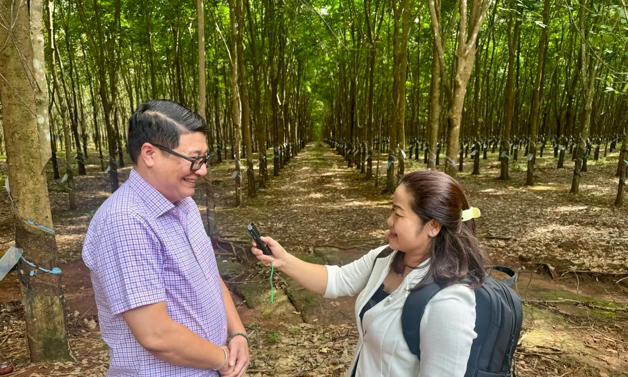 Cao su Bà Rịa: Phát triển xanh hướng đến nông nghiệp thông minh.