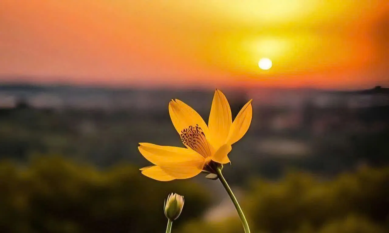 ĐIỂM TỰA ĐỂ NGƯỜI DÂN VÙNG LŨ NGHỆ AN VƯƠN LÊN 