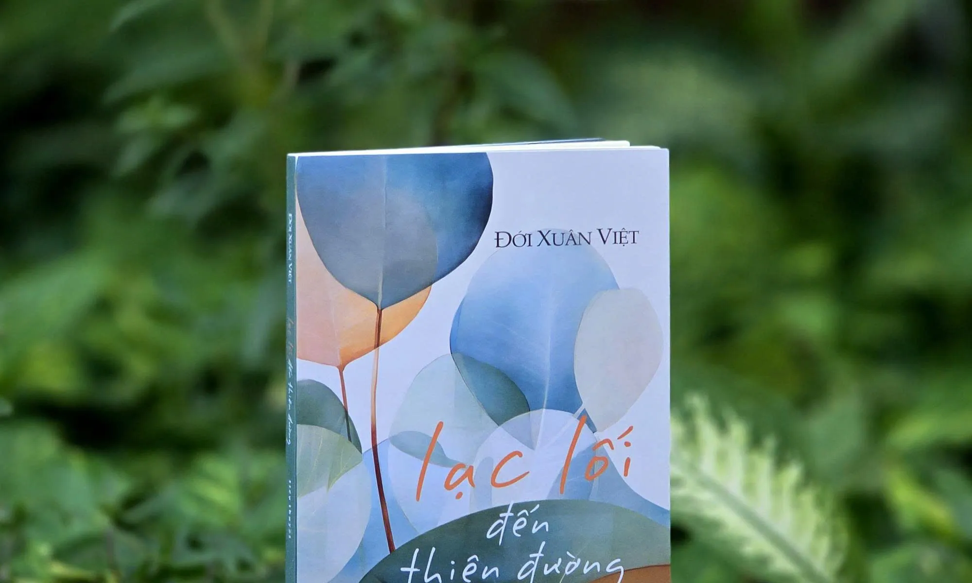 Nhà văn đạo diễn Đới Xuân Việt 