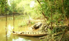 Nhịp sống Phương Nam ngày 5/10/2025