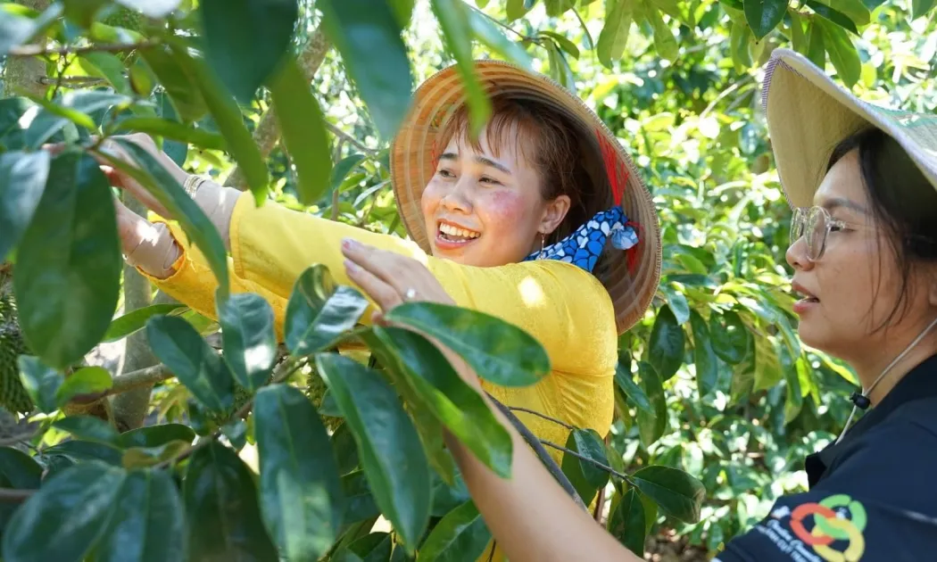 HCMC promotes green tourism through agricultural experiences