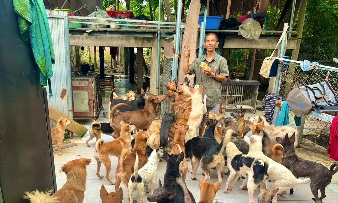 Gặp Gỡ Người Cứu Hộ Và Cưu Mang Hàng Trăm Chú Chó Mèo Cơ Nhỡ