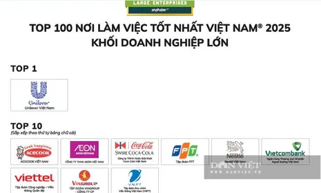 Công bố 100 nơi làm việc tốt nhất Việt Nam năm 2025