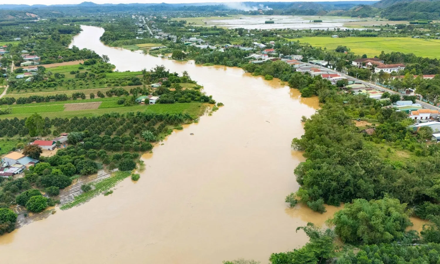 Mực nước sông Đồng Nai dâng cao, nhiều khu vực có nguy cơ ngập lụt