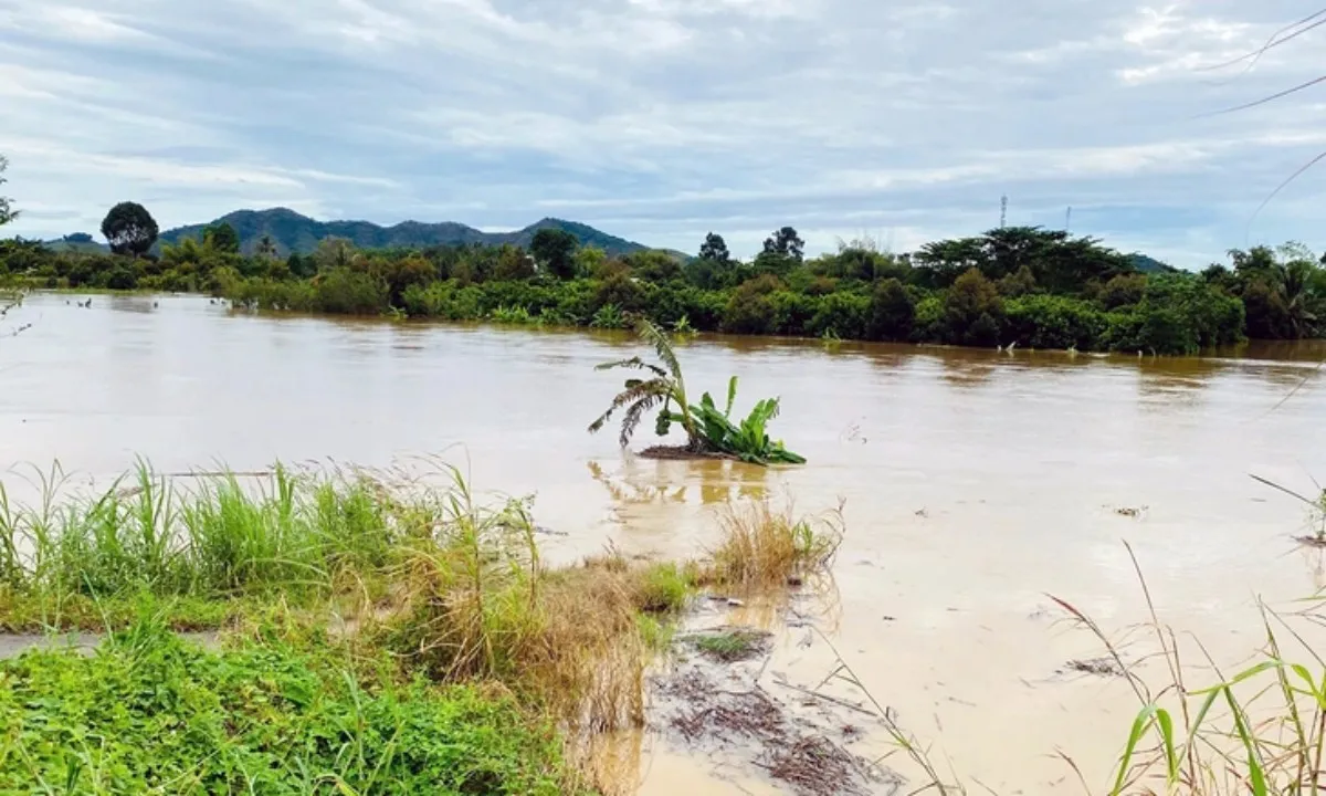 Mưa lũ Trung Bộ: 50 người chết và mất tích, thiệt hại hơn 3.000 tỷ