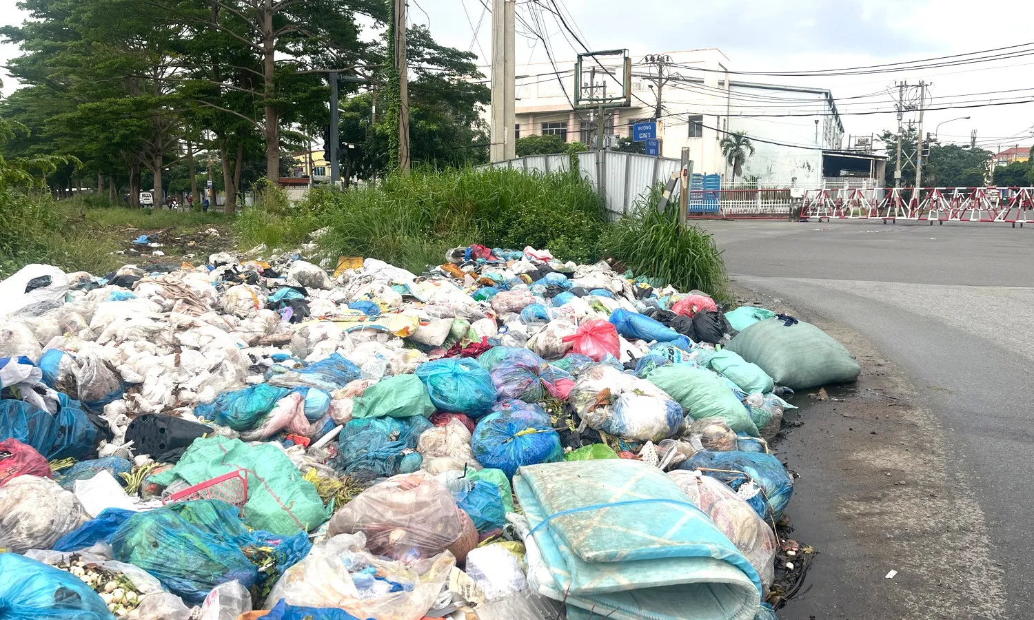 Ô nhiễm môi trường bắt đầu từ hành động thiếu ý thức của mỗi cá nhân