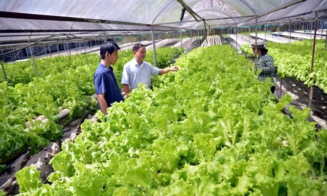 Ho Chi Minh City advances high-tech urban agriculture for a sustainable future