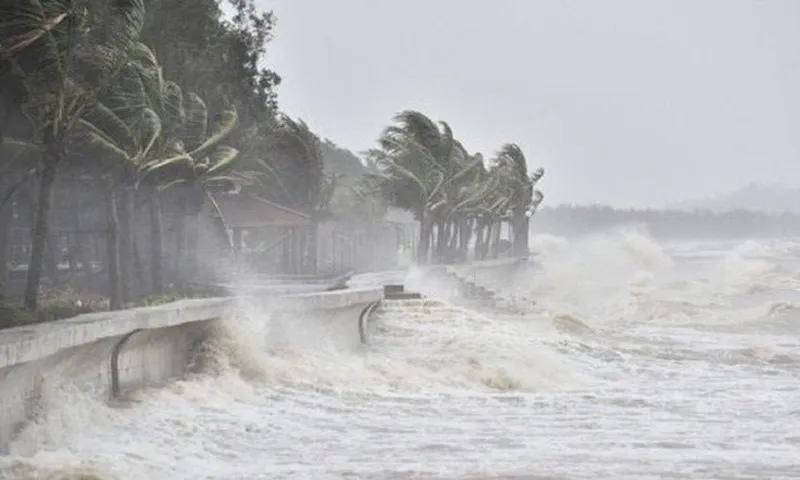 Biển Đông có thể đón 1-2 cơn bão cuối năm