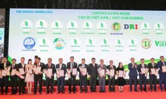 Ngành cao su tận dụng tốt xu hướng bền vững để vượt qua thách thức.
