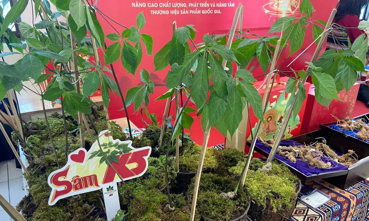 Chuẩn hóa khoa học - lá chắn bảo vệ thương hiệu quốc gia.