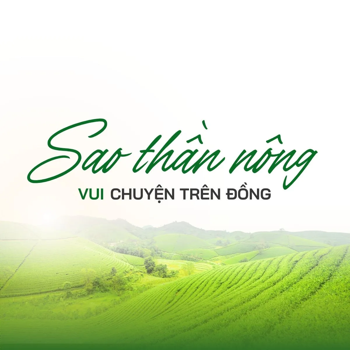 VOH-M FM 92 - 92.5 MHz