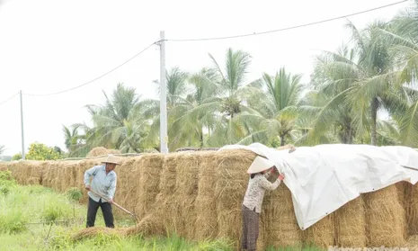 Phát triển nông nghiệp tuần hoàn
