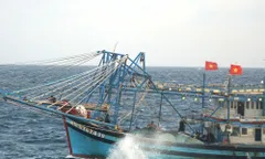 Khi ngư dân vươn khơi cùng công nghệ