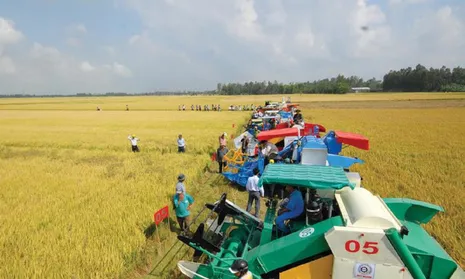 Số hóa cơ giới hóa nông nghiệp để nâng cao hiệu quả sản xuất