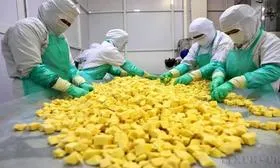 Thương mại Việt Nam-Australia hướng tới những động lực tăng trưởng mới