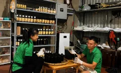 Khởi nghiệp thành công với các mô hình nông nghiệp