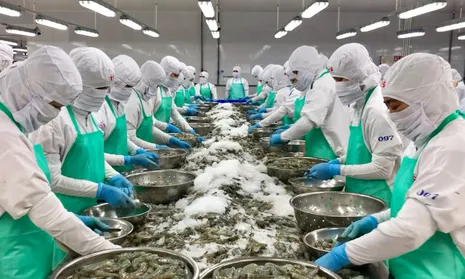 7 tháng đầu năm 2026, xuất khẩu thủy sản đạt khoảng 6,86 tỷ USD,