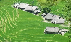 Canh tác trên ruộng bậc thang - thích ứng biến đổi khí hậu