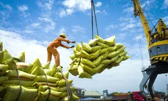 Xuất khẩu gạo kỳ vọng cải thiện kim ngạch các tháng cuối năm