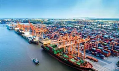 Nghị Quyết 20 tạo động lực cho kinh tế biển phát triển