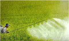 Sử dụng thuốc bảo vệ thực vật đúng cách