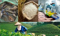 Tháo gỡ khó khăn, đẩy mạnh xuất khẩu nông sản
