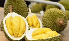 Thực hiện các giải pháp để đẩy mạnh sản xuất và xuất khẩu sầu riêng