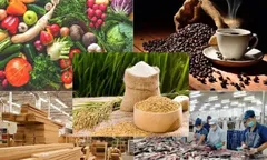 Nâng tầm giá trị nông sản Việt trong chuỗi cung ứng toàn cầu
