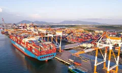 Doanh nghiệp Việt vươn khơi xa